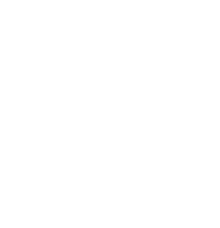 100 QUINTALES